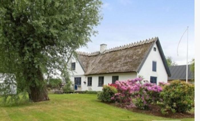 Pegasus Bed & Breakfast Hillerød Dış mekan fotoğraf