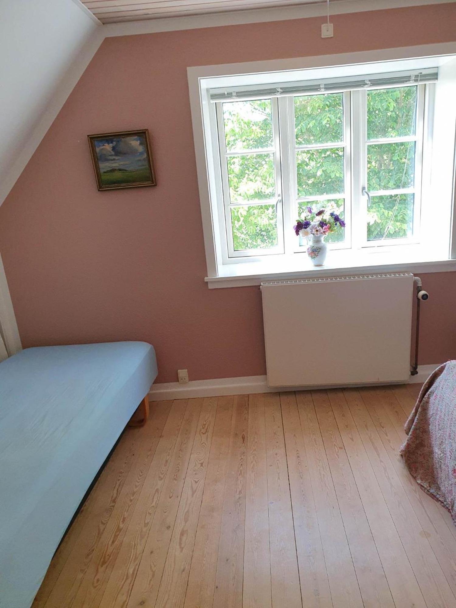 Pegasus Bed & Breakfast Hillerød Dış mekan fotoğraf