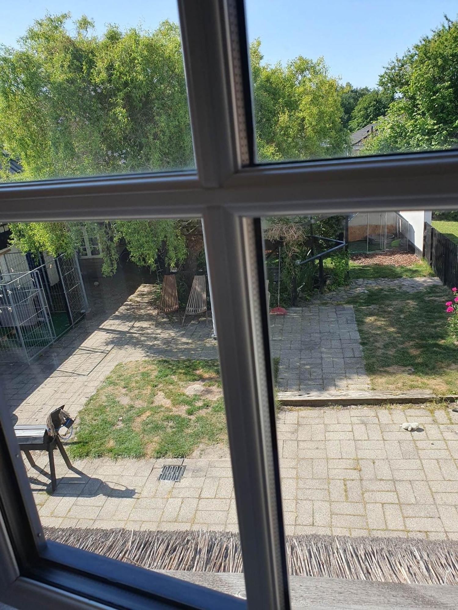 Pegasus Bed & Breakfast Hillerød Dış mekan fotoğraf