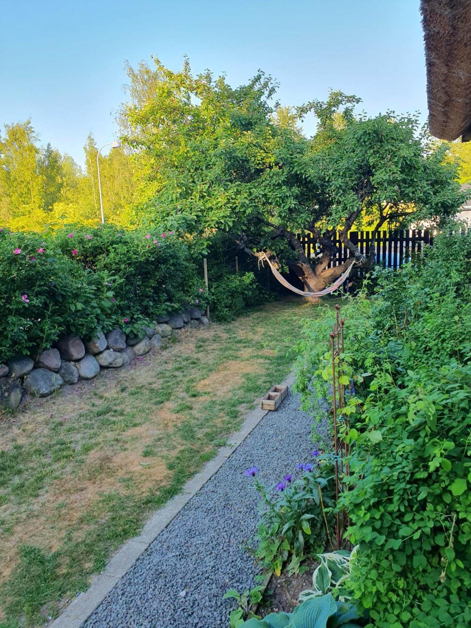 Pegasus Bed & Breakfast Hillerød Dış mekan fotoğraf